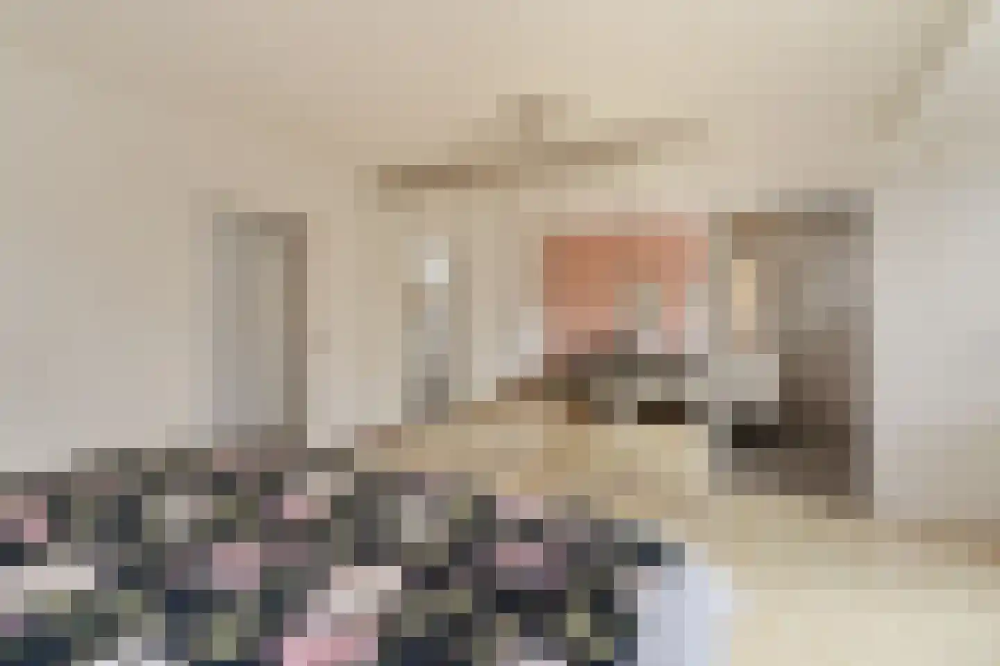 P C Boutenssingel 48 Capelle aan den IJssel thumbnail 20