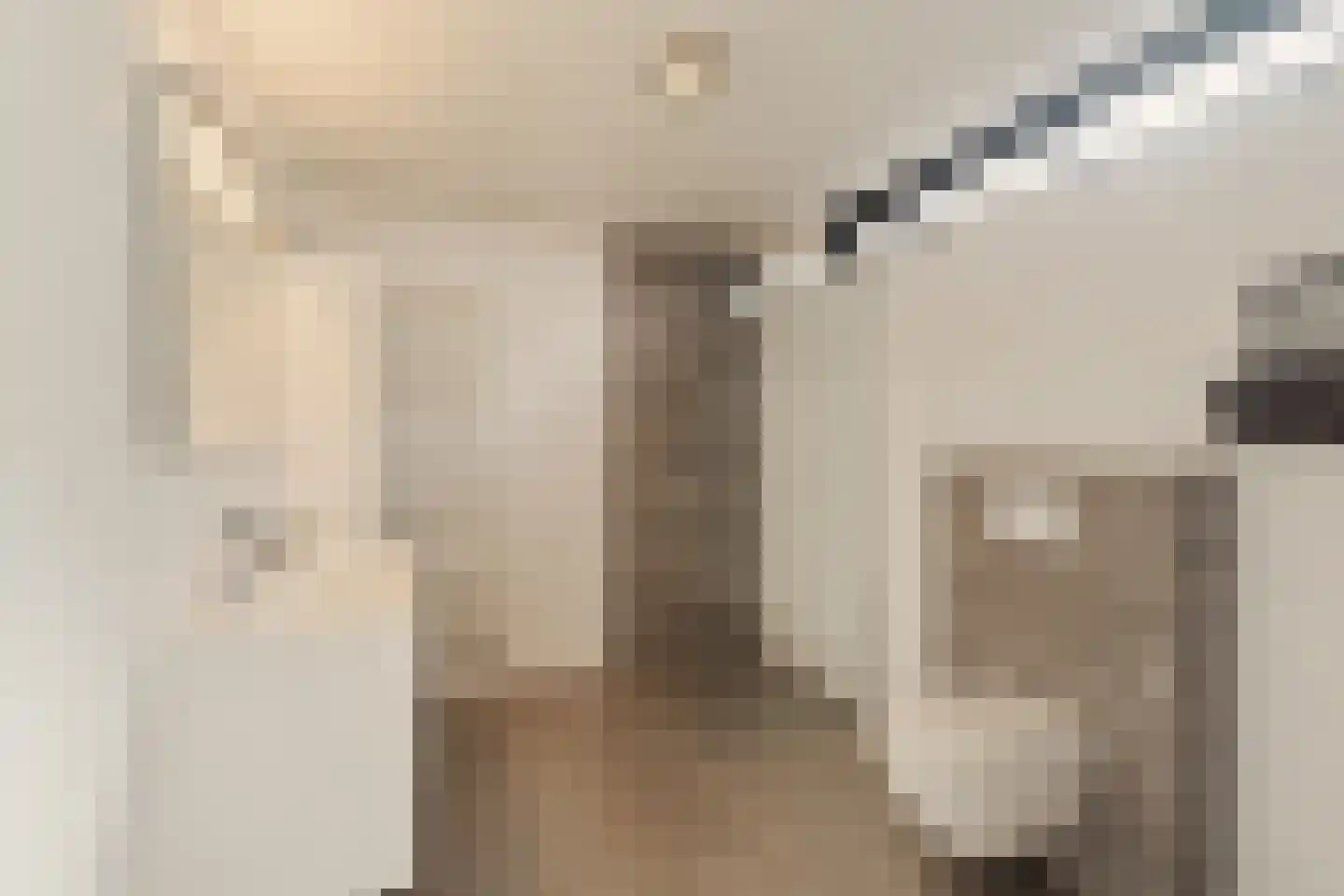 P C Boutenssingel 48 Capelle aan den IJssel thumbnail 21