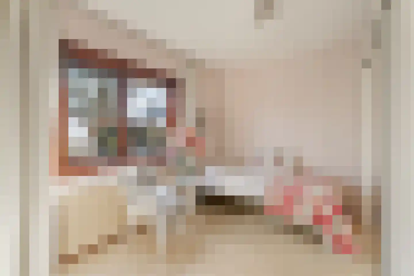 P C Boutenssingel 48 Capelle aan den IJssel thumbnail 23