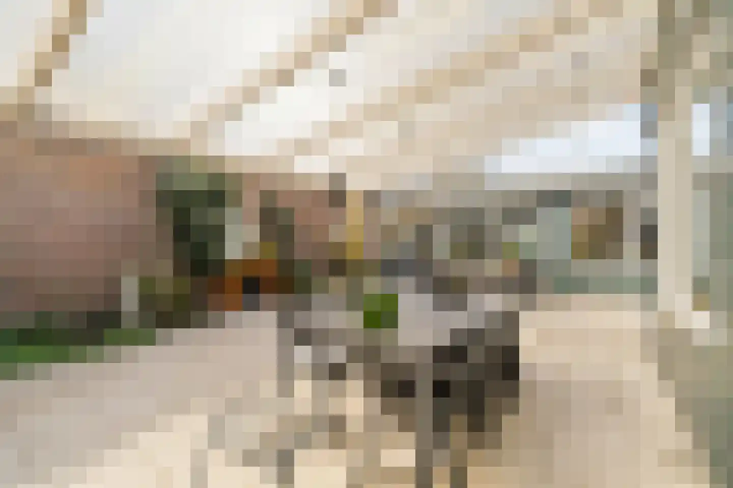 P C Boutenssingel 48 Capelle aan den IJssel thumbnail 31