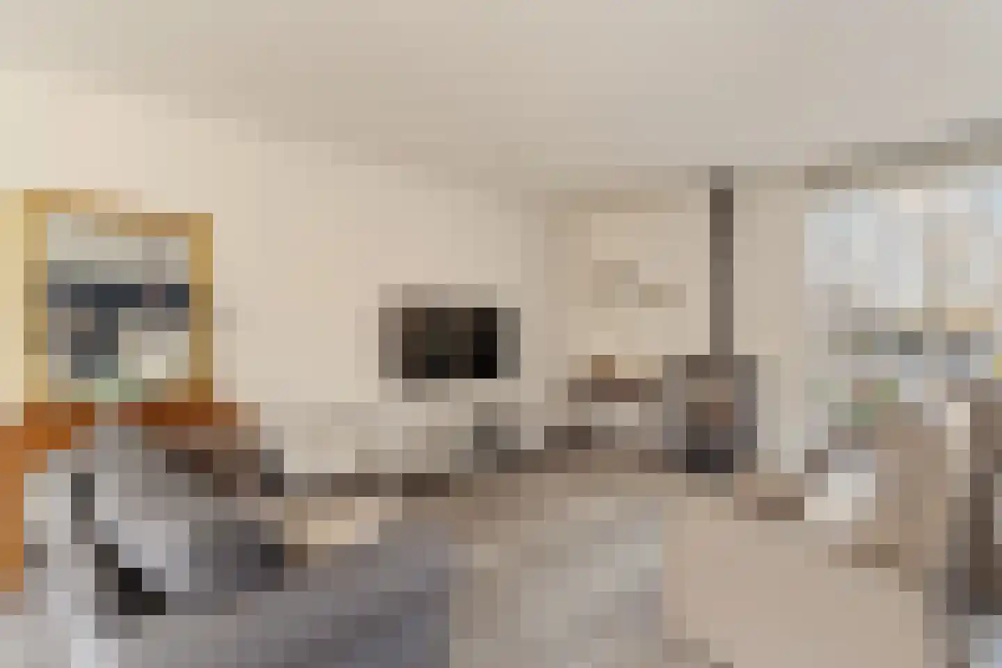P C Boutenssingel 48 Capelle aan den IJssel thumbnail 6