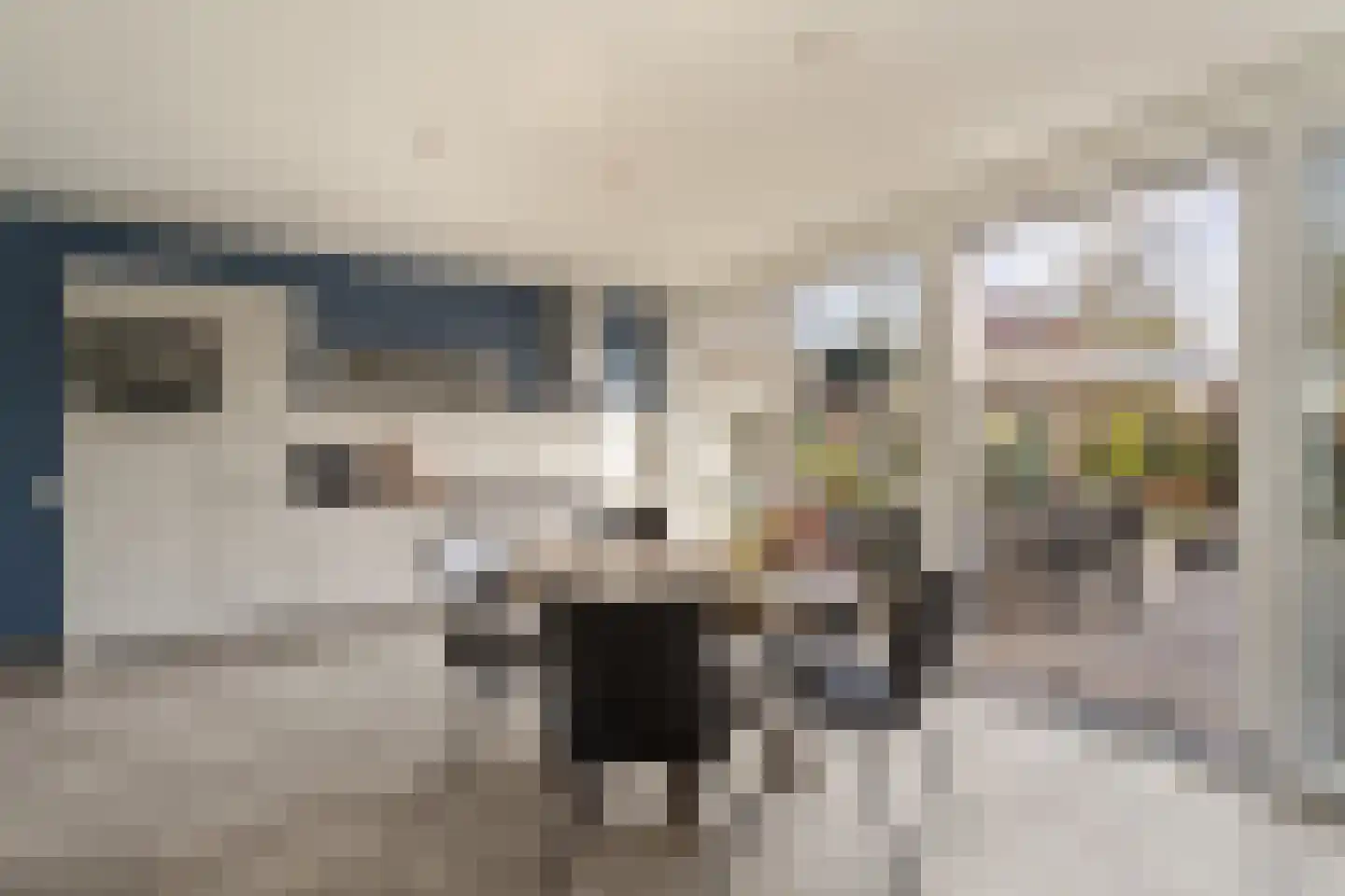 P C Boutenssingel 48 Capelle aan den IJssel thumbnail 7