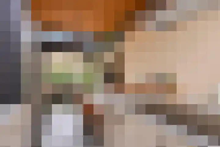 P C Boutenssingel 77 Capelle aan den IJssel thumbnail 10