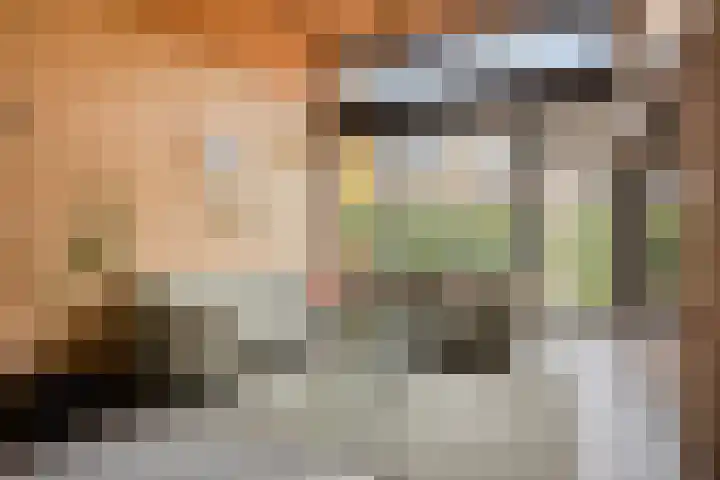 P C Boutenssingel 77 Capelle aan den IJssel thumbnail 11