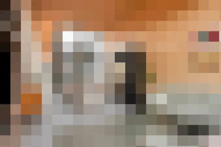 P C Boutenssingel 77 Capelle aan den IJssel thumbnail 13