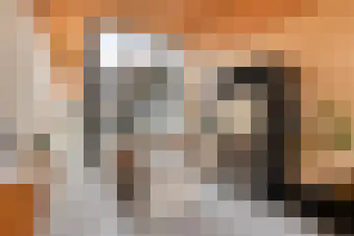P C Boutenssingel 77 Capelle aan den IJssel thumbnail 14