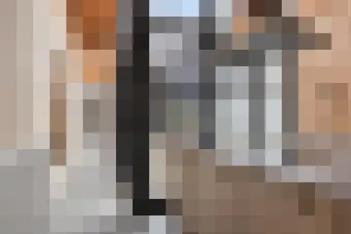 P C Boutenssingel 77 Capelle aan den IJssel thumbnail 15