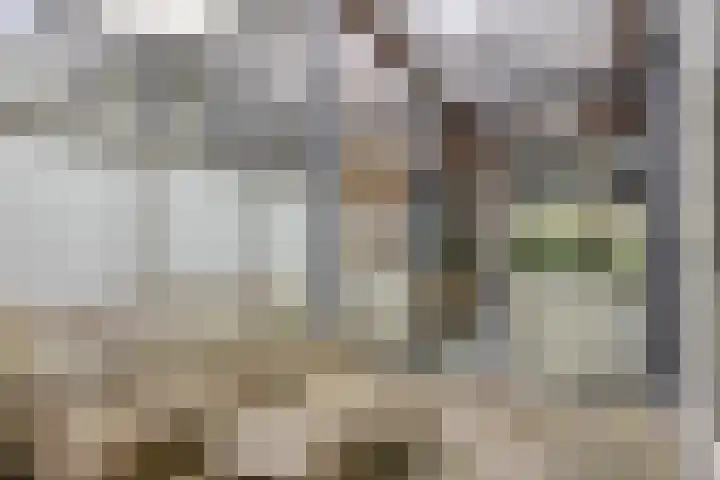 P C Boutenssingel 77 Capelle aan den IJssel thumbnail 16