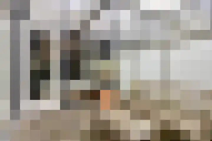 P C Boutenssingel 77 Capelle aan den IJssel thumbnail 17