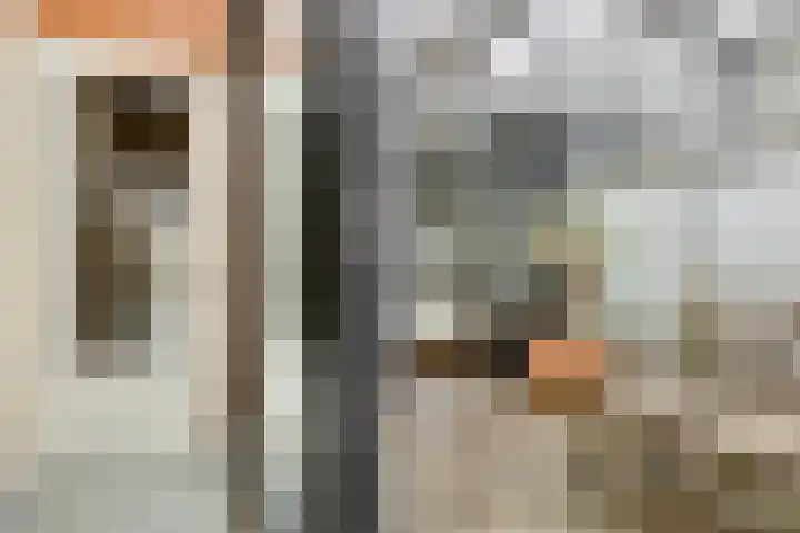 P C Boutenssingel 77 Capelle aan den IJssel thumbnail 18