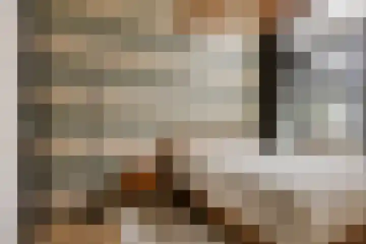 P C Boutenssingel 77 Capelle aan den IJssel thumbnail 19