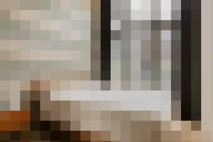P C Boutenssingel 77 Capelle aan den IJssel thumbnail 20