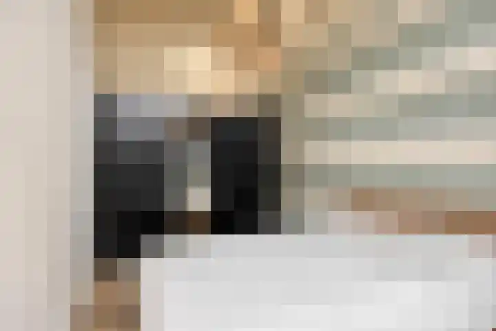 P C Boutenssingel 77 Capelle aan den IJssel thumbnail 21