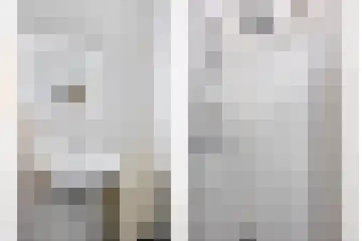 P C Boutenssingel 77 Capelle aan den IJssel thumbnail 23