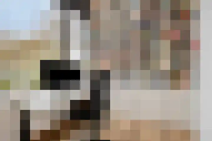 P C Boutenssingel 77 Capelle aan den IJssel thumbnail 26