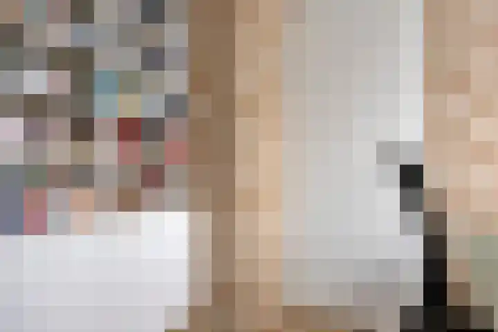 P C Boutenssingel 77 Capelle aan den IJssel thumbnail 27