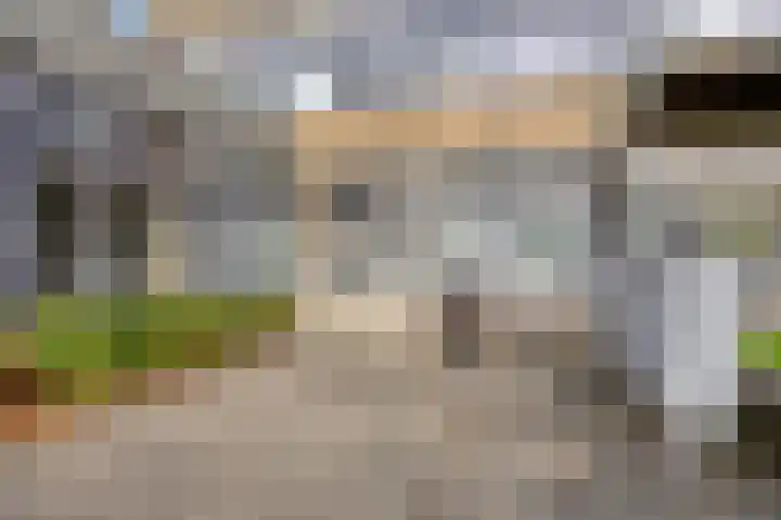 P C Boutenssingel 77 Capelle aan den IJssel thumbnail 28