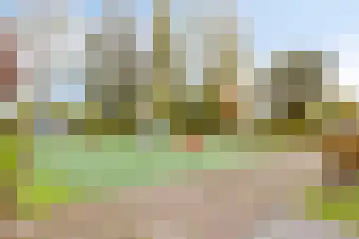 P C Boutenssingel 77 Capelle aan den IJssel thumbnail 31