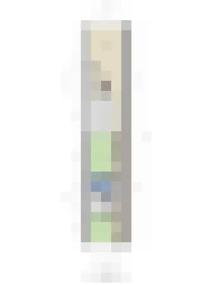 P C Boutenssingel 77 Capelle aan den IJssel thumbnail 32