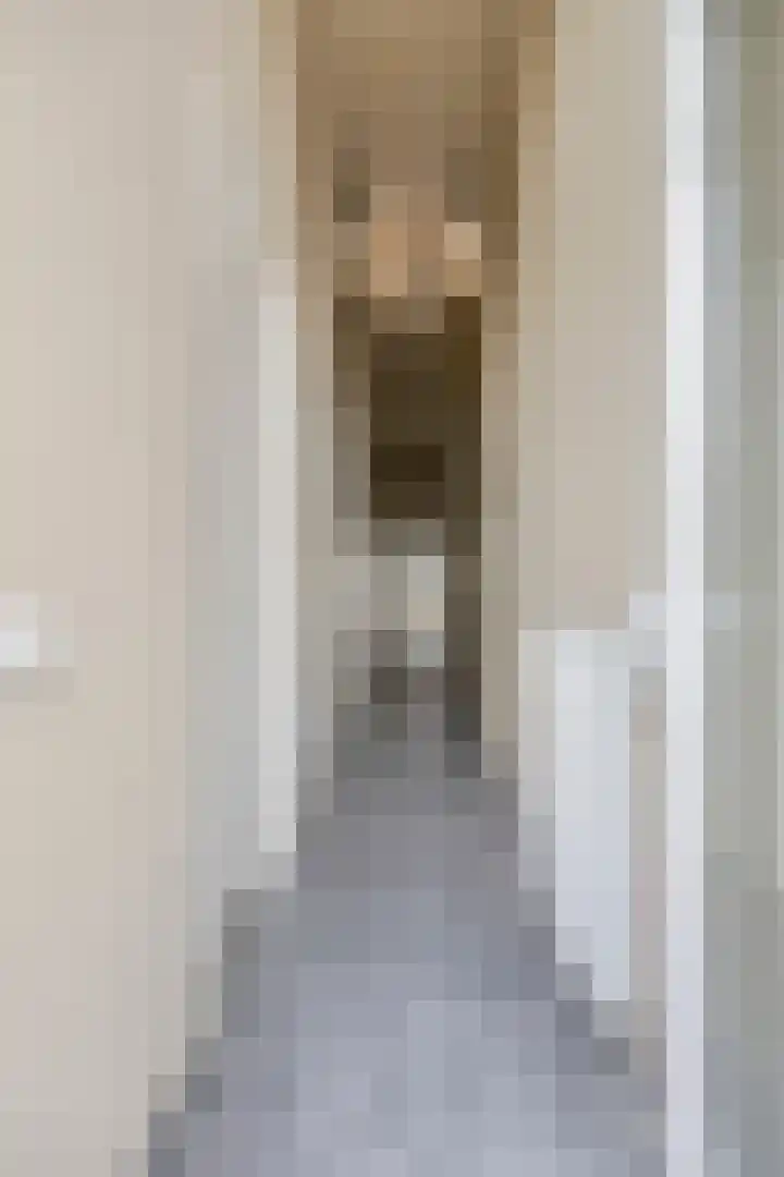 P C Boutenssingel 77 Capelle aan den IJssel thumbnail 5
