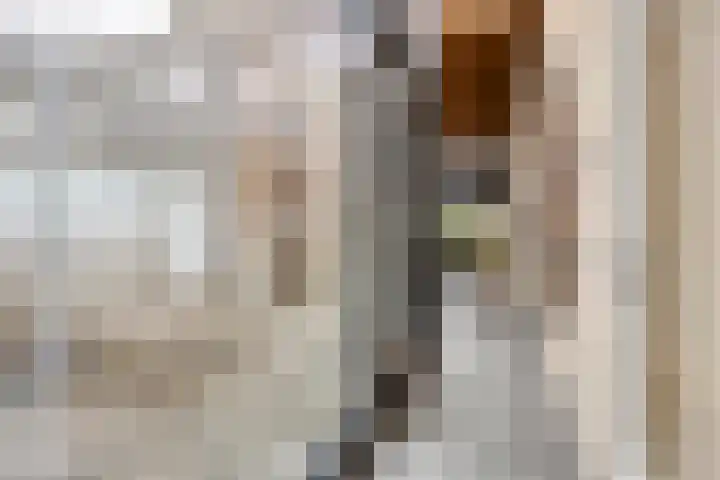 P C Boutenssingel 77 Capelle aan den IJssel thumbnail 6