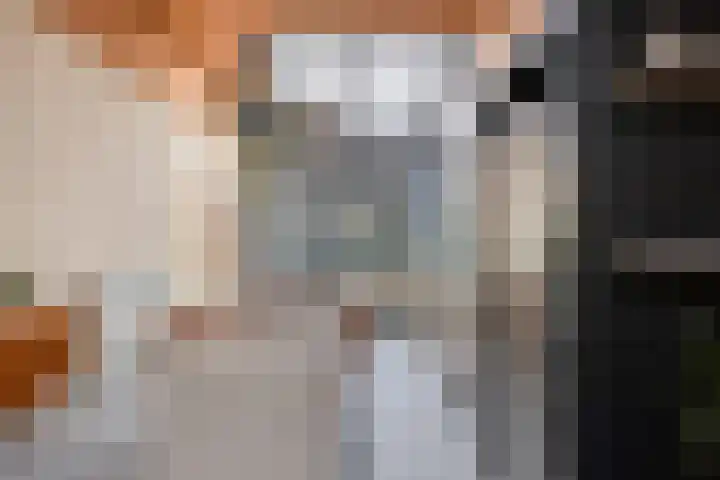 P C Boutenssingel 77 Capelle aan den IJssel thumbnail 9