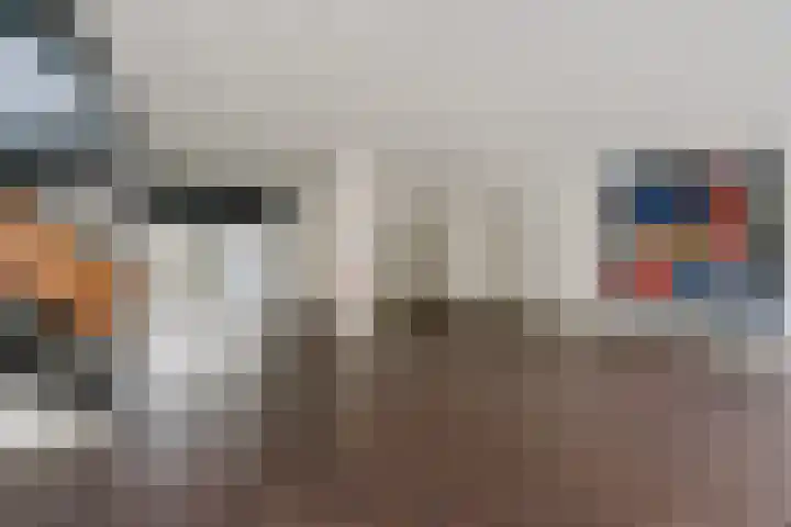 P C Boutenssingel 99 Capelle aan den IJssel thumbnail 14