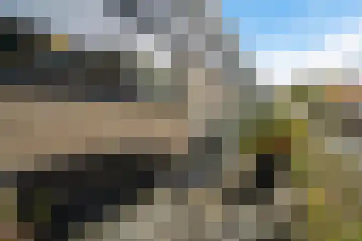 P C Boutenssingel 99 Capelle aan den IJssel thumbnail 17