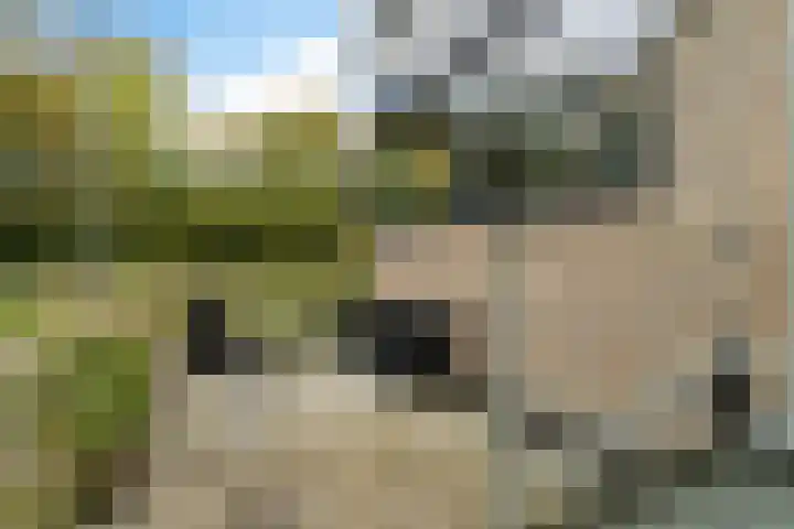 P C Boutenssingel 99 Capelle aan den IJssel thumbnail 18