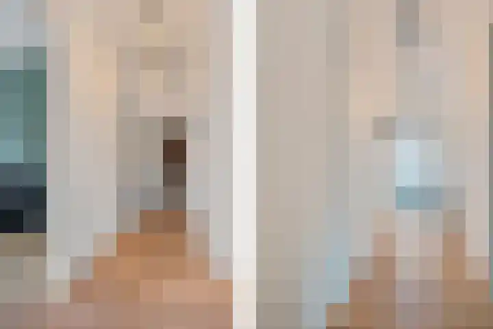 P C Boutenssingel 99 Capelle aan den IJssel thumbnail 19