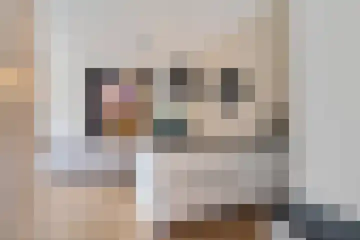 P C Boutenssingel 99 Capelle aan den IJssel thumbnail 21