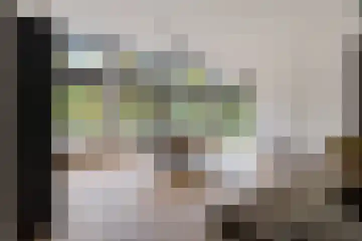 P C Boutenssingel 99 Capelle aan den IJssel thumbnail 23