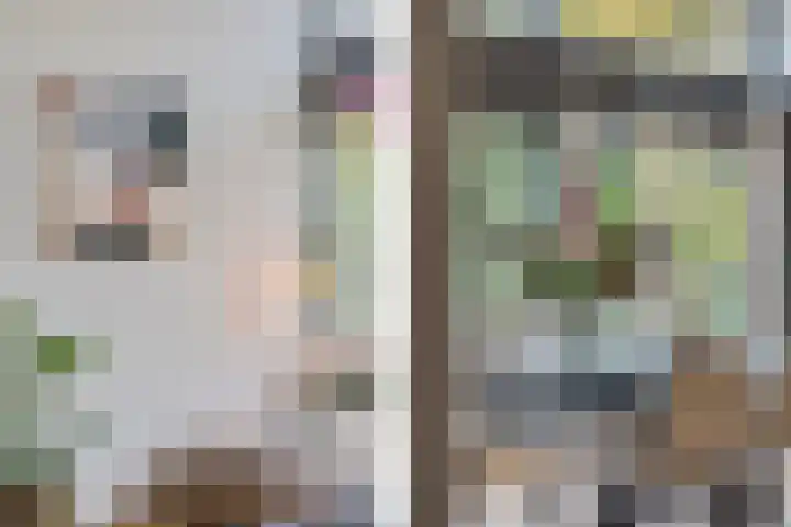 P C Boutenssingel 99 Capelle aan den IJssel thumbnail 24