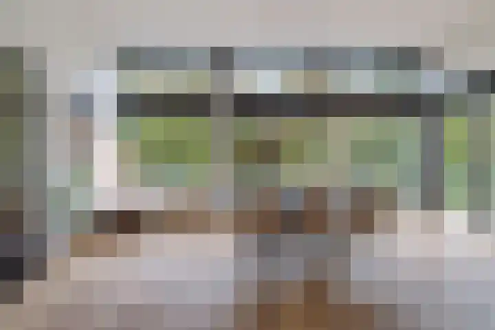 P C Boutenssingel 99 Capelle aan den IJssel thumbnail 25