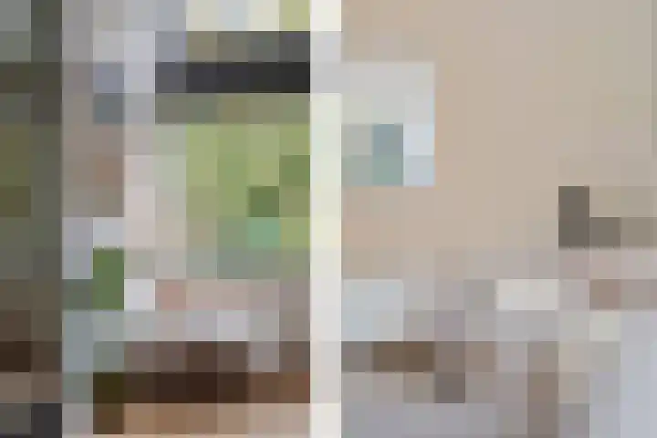 P C Boutenssingel 99 Capelle aan den IJssel thumbnail 27