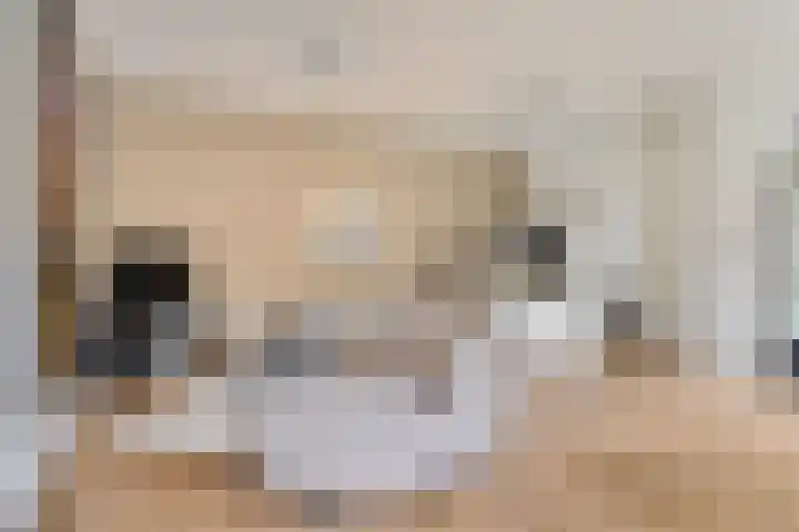 P C Boutenssingel 99 Capelle aan den IJssel thumbnail 28