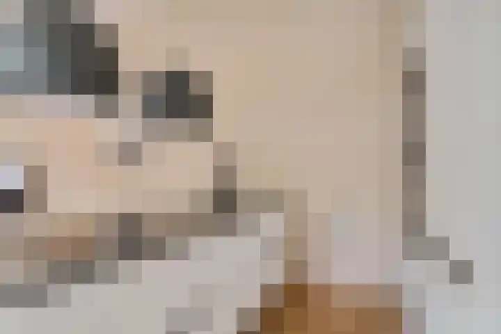 P C Boutenssingel 99 Capelle aan den IJssel thumbnail 31