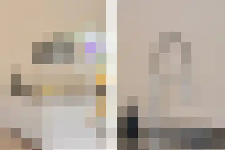 P C Boutenssingel 99 Capelle aan den IJssel thumbnail 32