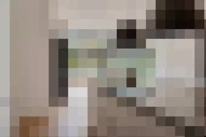 P C Boutenssingel 99 Capelle aan den IJssel thumbnail 33