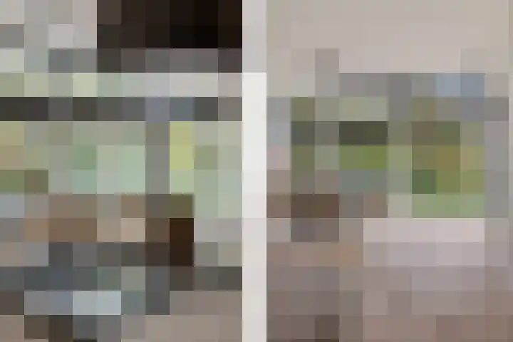 P C Boutenssingel 99 Capelle aan den IJssel thumbnail 34