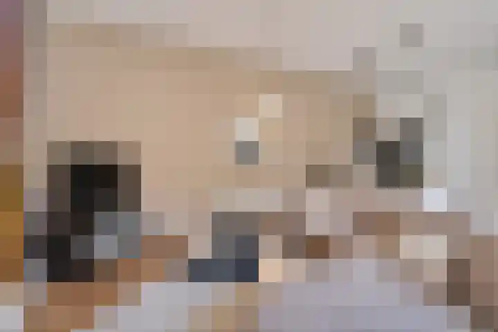 P C Boutenssingel 99 Capelle aan den IJssel thumbnail 38