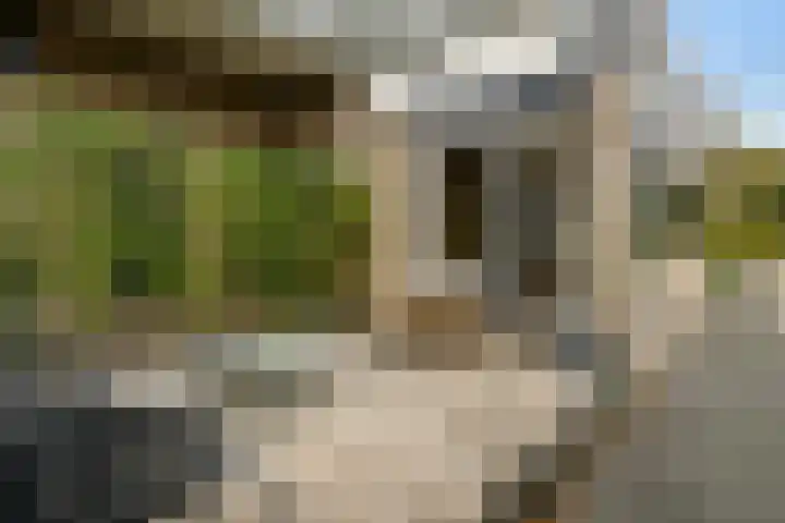 P C Boutenssingel 99 Capelle aan den IJssel thumbnail 41