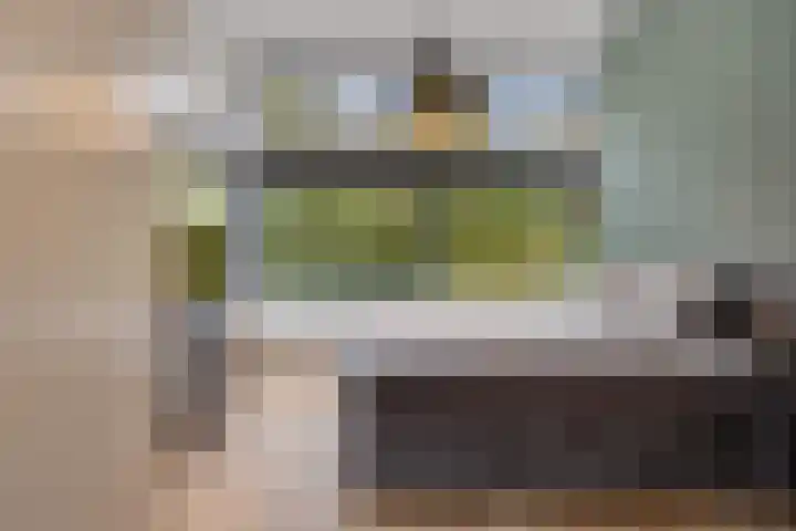 P C Boutenssingel 99 Capelle aan den IJssel thumbnail 43