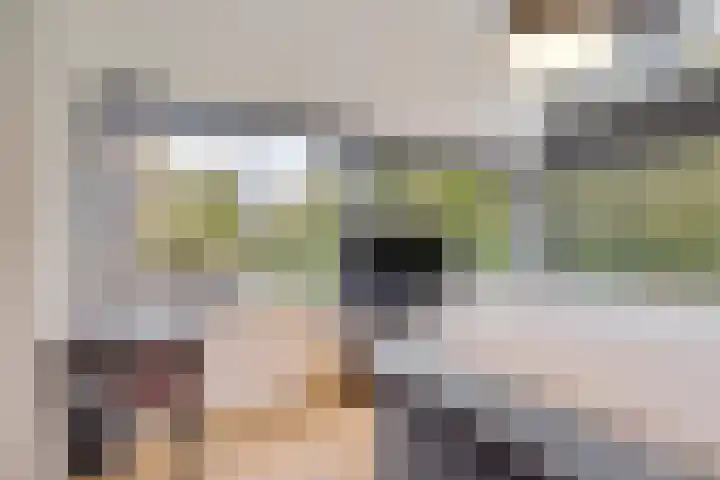 P C Boutenssingel 99 Capelle aan den IJssel thumbnail 44