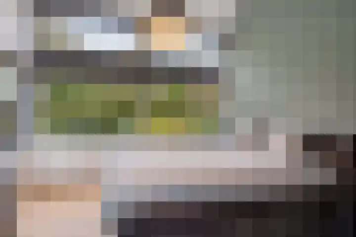 P C Boutenssingel 99 Capelle aan den IJssel thumbnail 45