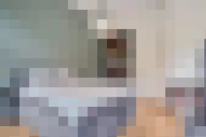P C Boutenssingel 99 Capelle aan den IJssel thumbnail 46