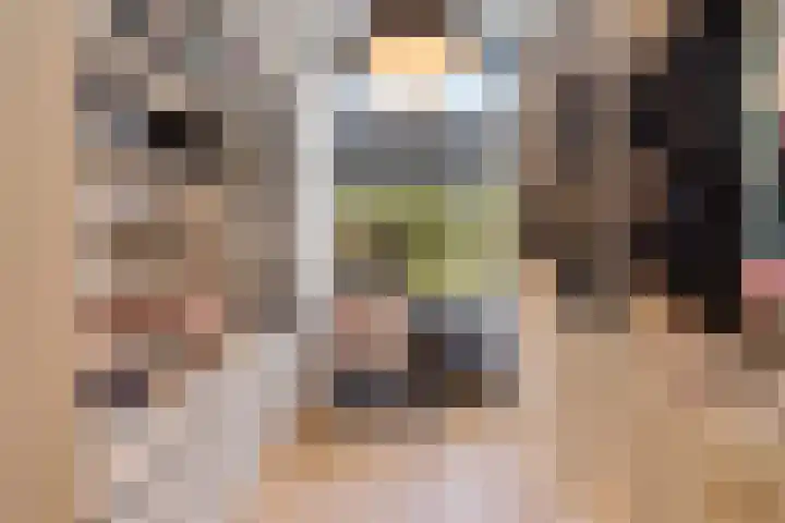 P C Boutenssingel 99 Capelle aan den IJssel thumbnail 49
