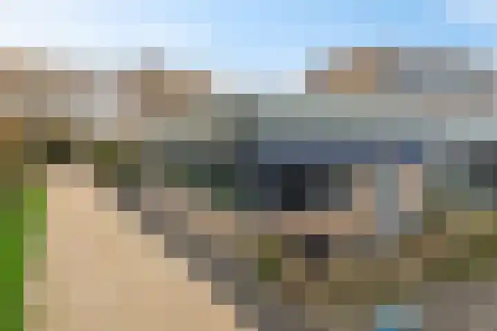 P C Boutenssingel 99 Capelle aan den IJssel thumbnail 5