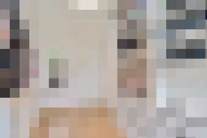 P C Boutenssingel 99 Capelle aan den IJssel thumbnail 50