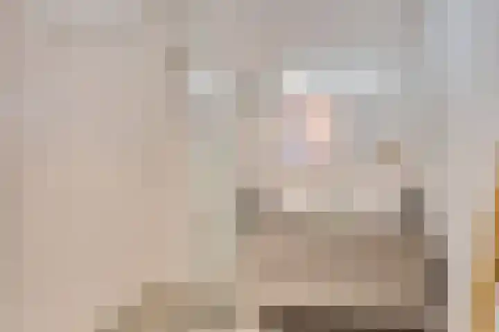 P C Boutenssingel 99 Capelle aan den IJssel thumbnail 51